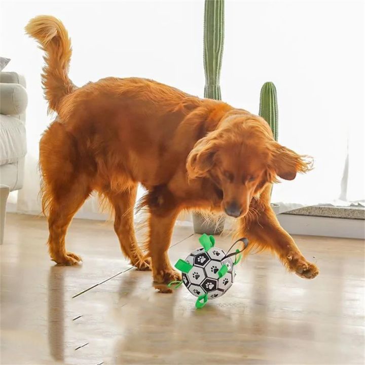 dog-toy-ball-bite-resistant-self-healing-football-interactive-boring-training-supplies-small-and-medium-sized-dog-elastic-ball-toys