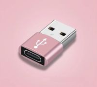 Otg Usb To Type-C อะแดปเตอร์ชาร์จดิสก์ Usb อะแดปเตอร์ธนาคารอะแดปเตอร์แล็ปท็อปสำหรับ Power Type-C สำหรับสายแปลงสัญญาณ