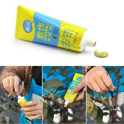 JoJo♥ 100g Tree Wound Bonsai Cut Paste Smear Agent Pruning Compound Sealer with Brush