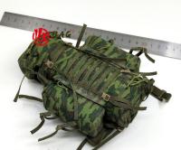 1/6 of the Action Figures Model DAMTOYS DAM78083 Russian mountain infantry Big backpack