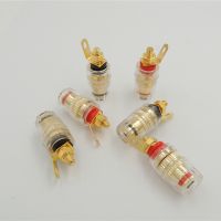 Mini Gold Plated 4mm Banana Plug Socket Connector Binding Post for Amplifier Speaker Terminal In Wall Plate