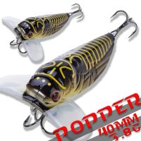 【cw】 1PCS Fishing Cicada Floating Lscas Artificial Bait 55mm 8.5g 40mm 3.8g Pesca Topwater Stomach Insect ！