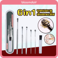 ไม้แคะขี้หู ชุดแคะหู สแตนเลส ครบชุด 6 in 1 Ear Pick Set Stainless Steel ทั้งเกลียว ปั่น แคะ สำหรับทำความสะอาดหู เด็กและผู้ใหญ่ 1 เซท Bloomday