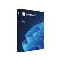 Windows 11 Pro 32/64 Bit ENG (FPP)