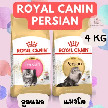 Royal Canin Persian 4 Kg ราคาถูก ซื้อออนไลน์ที่ - ก.ค. 2023 | Lazada.Co.Th