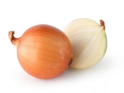 100 เมล็ด เมล็ดหอมหัวใหญ่ สายพันธุ์ หอมใหญ่ Polana ของแท้ 100% อัตรางอกสูง 70-80% Onion seeds มีคู่มือปลูก