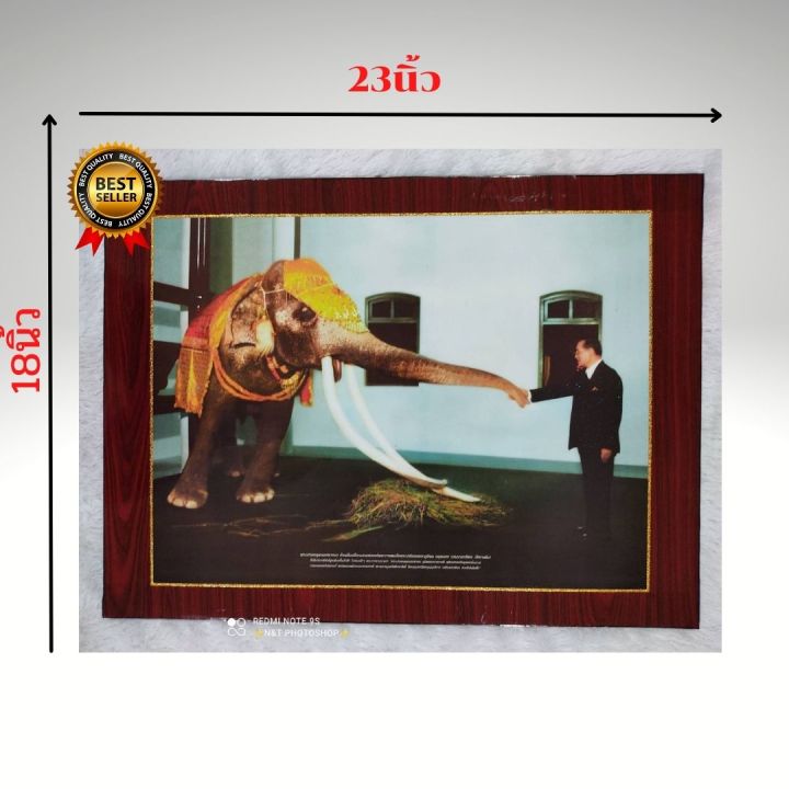กรอบรูปวิทย์-กรอบรูปติดผนัง-ภาพมงคล-ภาพร-9-คุณพระเศวต-ช้างเผือกคู่พระบารมีในหลวง-รัชกาลที่-9-ภาพมงคล-ขนาดกรอบ-18x24