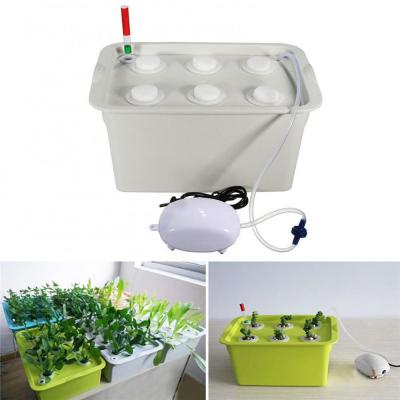；【‘； Hydroponic Indoor 6 Holes System Soilless Cultivation Plant Nursery Box Grow Kit