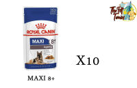 Royal canin Maxi8+ อาหารเปียกสุนัขพันธุ์ใหญ่อายุ 8ปีขึ้นไป