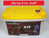 อาหารนกลูกป้อน สูตรนกสายพันธ์ใหญ่ ที่ต้องการไขมันเยอะกว่า Nutribird A19 ปริมาณ 3 กก.อาหารนกแก้ว ลูกป้อน เอ 19 อาหารป้อน A 19 นูทรี