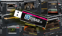 สำหรับคนทำเพลงอย่างมืออาชีพ Cubase 12 Pro/Drum 3 /Paino/Bass /Korg M1 /Ample Guitar SC v3 /.Guitar Rig 5 พร้อมวีดีโอติดตั้ง