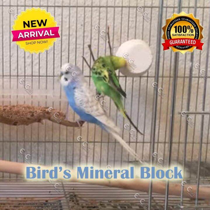 JTC Bird's and Hamster's REGULAR SIZED MINERAL BLOCK Fortified with
