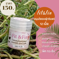 สมุนไพรรีแพร์ Fit&amp;fin บรรจุ 12 เม็ด สำหรับท่านผู้หญิง