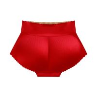 Push Up Sponge Padded Panties Butt Lifter Fake Ass Shaper Buttocks Enhancer Mid Waist Women Invisible Control Panties Shapewear