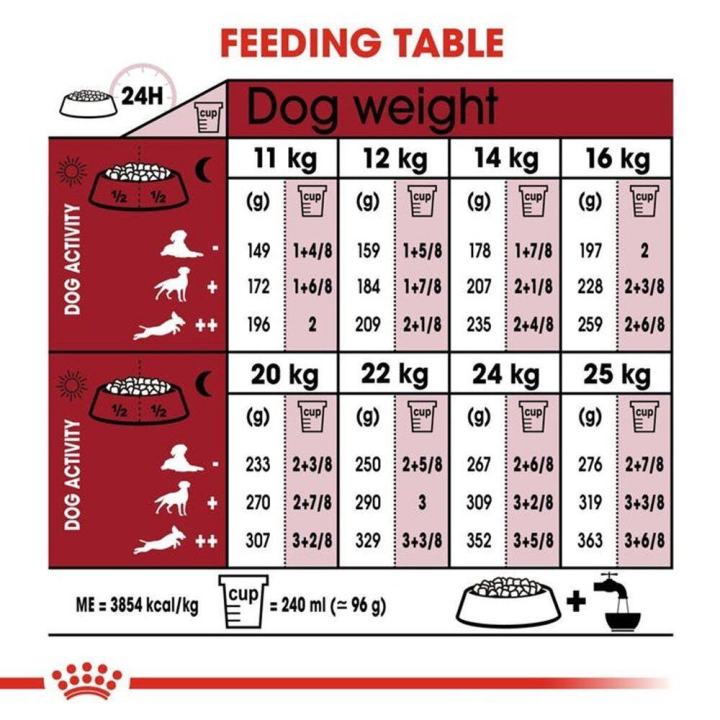 royal-canin-medium-adult-7-dog-food-อาหารสุนัขแก่-อาหารหมากระสอบ-สุนัขพันธ์กลาง-อายุ-7-ปี-10-กก