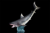 HAOLONGGOOD Megalodon รุ่นทะเลฉลามคอลเลกชันสมจริงตกแต่งโต๊ะยุคก่อนประวัติศาสตร์มหาสมุทรสัตว์ของขวัญวันเกิดสำหรับของเล่น