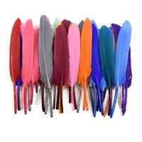 Colored Feathers for Crafts Handicraft Accessories Feather Jewelry Making Catcher Decoration Carnaval