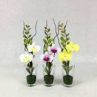 แจกันดอกไม้ปลอมจิ๋ว กล้วยไม้พร้อมแจกันแก้วขนาดเล็ก Artificial small orchid in glass