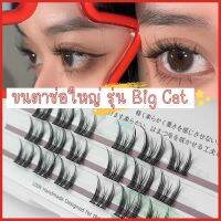 ?ร้านไทย?ขนตาปลอม รุ่น ช่อใหญ่ Big cat ยาว 10-13mm 18 ช่อ สายแบ๊ว