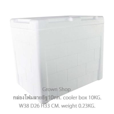กล่องโฟมsizeMedium กล่องโฟมปิคนิก กล่องเก็บความเย็น Foam cooler box, cold storage box Picnic box