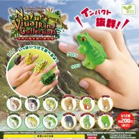 Japan Yell Gashapon Capsule Toys Reptiles Table Ornaments Decoration Lizard Frog Gecko Chameleon Creature Ring ❀□