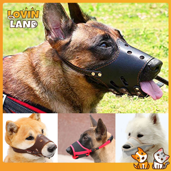 are dog muzzles humane