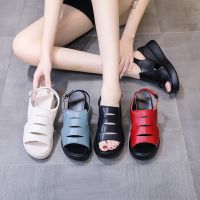 Korean Style Platform Wedge Hollow-out Sandals Peep Toe Sandals Womens Platform High Heel Sandals Womens Roman Sandals Women