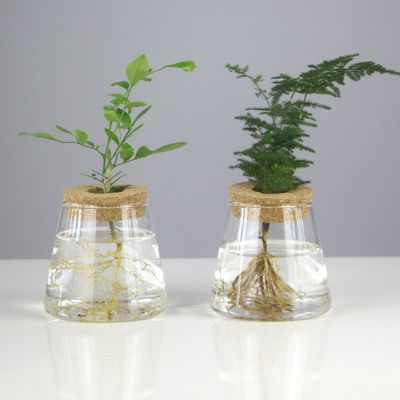 พืช Hydroponic กระถางดอกไม้แจกันแก้วตารางโปร่งใสย้อนยุคสำหรับพืชไฮโดรโปนิกส์ในร่มของแท้คุณภาพสูง