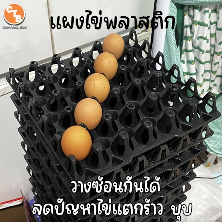 แผงไข่พลาสติก-ถาดไข่-แผงไข่ไก่-แผงไข่ใส่ได้ทุกเบอร์-แผงละ-30-ฟอง