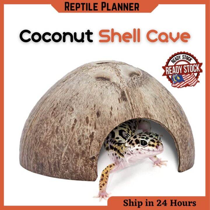 Reptile Hides Cave Coconut Shell Turtle House Reptile Habitat Shelter