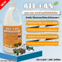 ปุ๋ยน้ำไม้ดอกและไม้ประดับ 1000ML. ดอกดกขั้วเหนียวลดดอกร่วง น้ำหนักดี ALL GAN สาหร่ายสกัดไซโตไคนินฮอร์โมนทำงานอย่าง มีประสิทธิภาพ