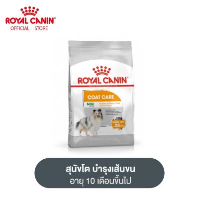 Royal Canin Mini Coat Care โรยัล คานิน อาหารเม็ดสุนัขโต พันธุ์เล็ก ดูแลสุขภาพเส้นขน อายุ 10 เดือนขึ้นไป (กดเลือกขนาดได้, Dry Dog Food)