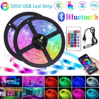 Bluetooth USB LED Strip Light RGB 5050 2835 SMD 5V Led Lights Flexible 1-30M Lamp Ribbon TV BackLight Room Decoration Diode Tape