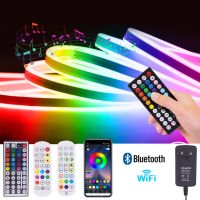 RGB Neon Strip 12V Waterproof IR WIFI Bluetooth Music Control TV BackLight Home DIY Flexible Ribbon LED Diode Lamp