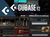 สำหรับคนทำเพลง Cubase 11 Pro หรือ12 Proพร้อมปลั๊กอิน กลอง /เบท/คีย์บอร์ด/กีตาร์โปร่ง มีไฟล์วีดีโอวิธีติดตั้งทุกตัว