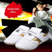 Taekwondo Shoes Martial Arts Shoes Gym Sport Boxing Kung Fu Tai Chi Running Shoes For Adults Kids Breathable Training Sneakers