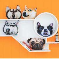 1ชิ้น3D Doge Husky สำหรับสุนัขแมวที่นั่งในรถหมอนรองคอหมอนอิงเบาะรองศรีษะงีบหลับ (สุนัข Akita)