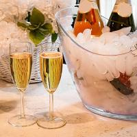 2Pcs Large Ice Bucket Ice Tub Champagne Bucket for Cocktail Bar Mimosa Bar Supplies Ice Buckets for Parties