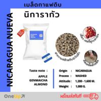 เมล็ดกาแฟดิบ สารกาแฟนิการากัว Nicaragua SHG Nueva Segovia Green coffee Beans 1 KG [พร้อมส่ง]  #สารกาแฟ #กาแฟดิบ