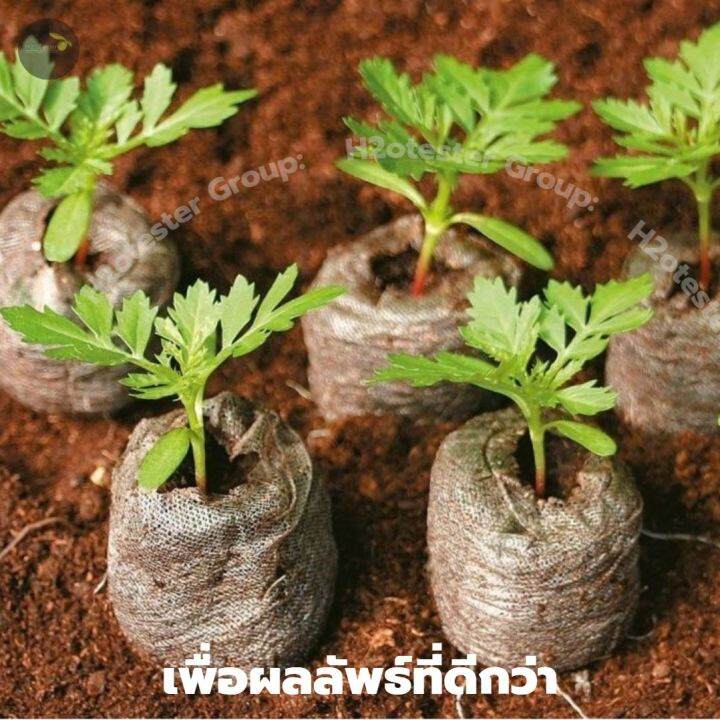 jiffyแท้-พีทมอสอัดก้อน-peat-pellet-ขนาดใหญ่-38-มม-สารอาหารเยอะ-ค่าph-เหมาะสมในการ-เพาะเมล็ด-สะดวก-ใช้ง่าย-คุณภาพคับก้อน-ส่งด่วน-ขั้นต่ำ-5ก้อน