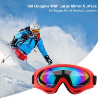 Ski Goggles with Mirror Surface Ski Goggles with Shock-resistant Features Premium Ski Goggles for Men Women Eyewear