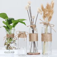 Hydroponics Plants Vases Transparent Vase for Plant Bottle Flower Pot Nordic Creative DIY Bottle Living Room Table Decoration