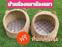 บ้านแมว ที่นอนแมว คอนโดแมว ของเล่นแมว เตียงแมว ของขวัญ ของฝาก ของเซอร์ไพรส์แมว