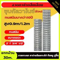 ลวดตาข่ายสี่เหลี่ยมชุบกัลวาไนซ์ชุบร้อน ยาว30m. กันสนิม!! ลวดกรงนก ตะข่ายล้อมกรงไก่ กันงูกันหนู ปูพิ้น ตาข่ายสี่เหลี่ยม