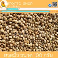 เมล็ดฮวยมั้ว มี2แบบ เล็ก / ใหญ่ ขนาด 100g