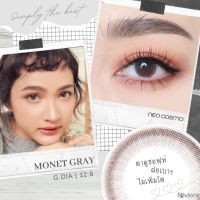 คอนแทคเลนส์ Monet Gray (Neo Cosmo) รายเดือน โมเนทสีเทา ใส่ง่าย แต่งตาสไตล์ minimal ลายน้อย แต่สวยมาก