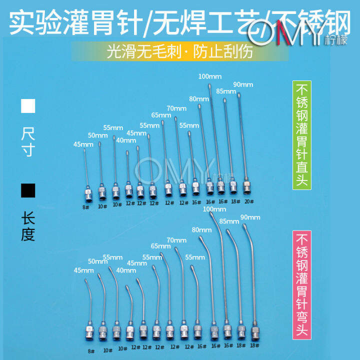 Mouse gavage needle straight needle bending needle laboratory rat