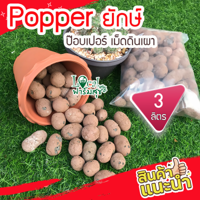 Local ฟาร์มสุข เม็ดดินเผา popper ลดการเกาะตัวของดิน ใช้ล่อราก เก็บความชื้น  แคตตัส เม็ดดินเผามวลเบา กระบองเพชร เม็ดใหญ่ homes