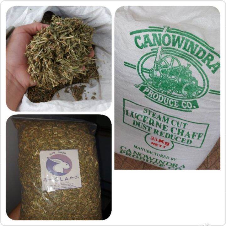 New Original ┅ Alfalfa Hay for Rabbits Guinea Pig and Hamsters (dust reduced) Repacked with
