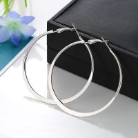 Big Circle Diameter Round Hoop Earrings For Women Punk Fashion Golden Silver Color Texture Circle Loop Earring Gifts